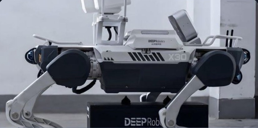 Quadruped robot on patrol